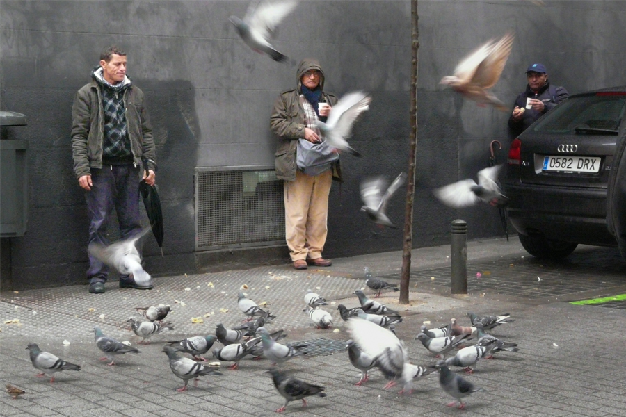 Hommes dans la rue avec des pigeons qui s'envolent